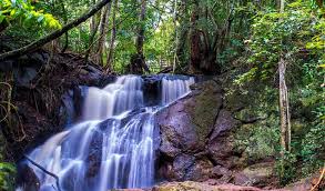Karura Forest